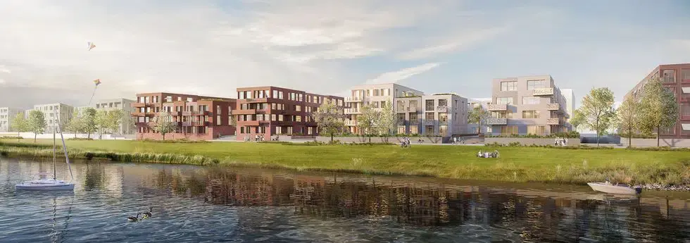Zollhafen Mainz, Hafeninseln